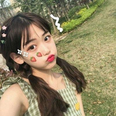 洪拳小子